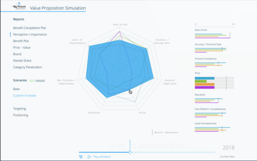 Big Picture Partners: Value Proposition Simulation — preview